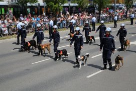 Fédération Nationale des Pompiers